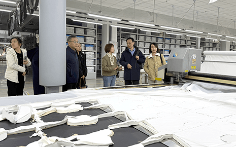 港地合作促发展：刘潭服装智能化实践获关注