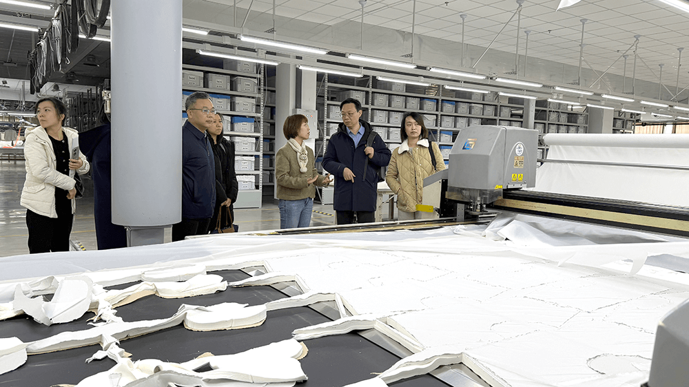 港地合作促发展：刘潭服装智能化实践获关注