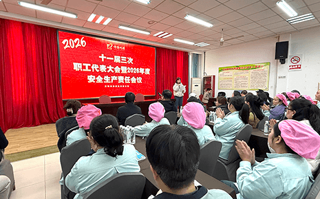 刘潭服装召开十一届三次职代会暨2026年度安全生产责任会议 刘潭服装召开十一届三次职代会暨2026年度安全生产责任会议