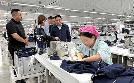 枞阳县领导一行莅临刘潭服装参观调研——深化政企交流合作