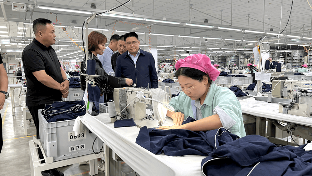 枞阳县领导一行莅临刘潭服装参观调研&mdash;&mdash;深化政企交流合作